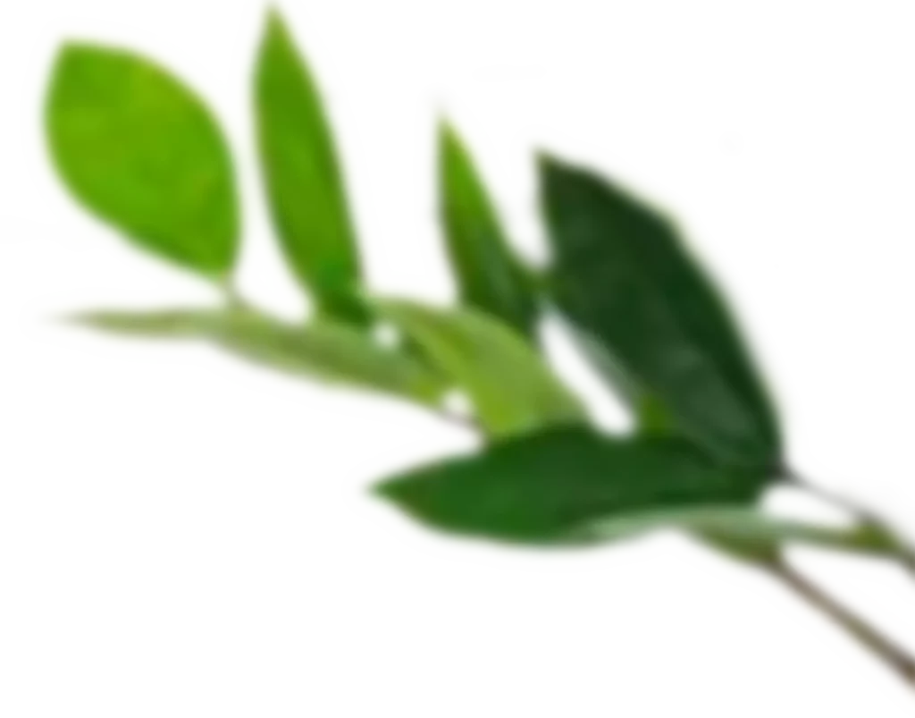 Small blurry green leaves