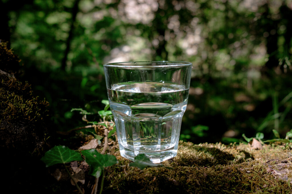 A glass of clean water in nature